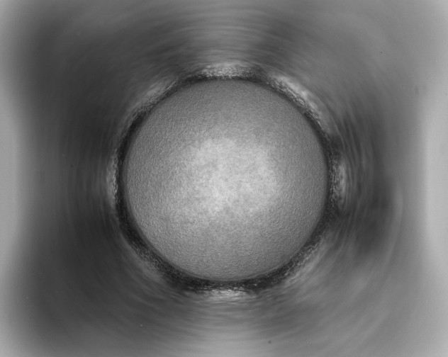 X0000095120586200712211311