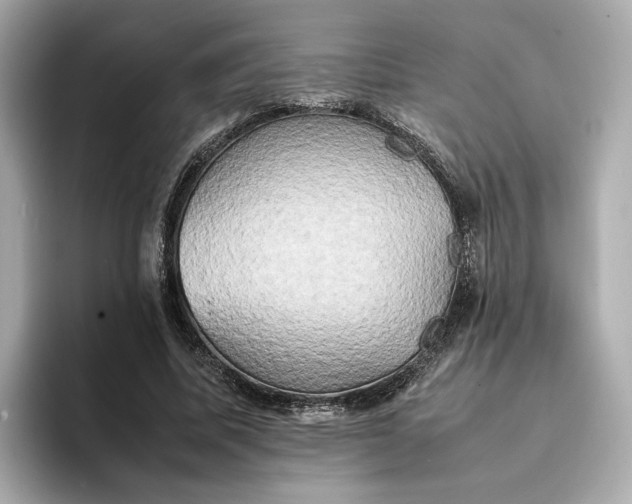 X0000095120587200712211311