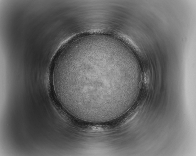 X0000095120588200712211311