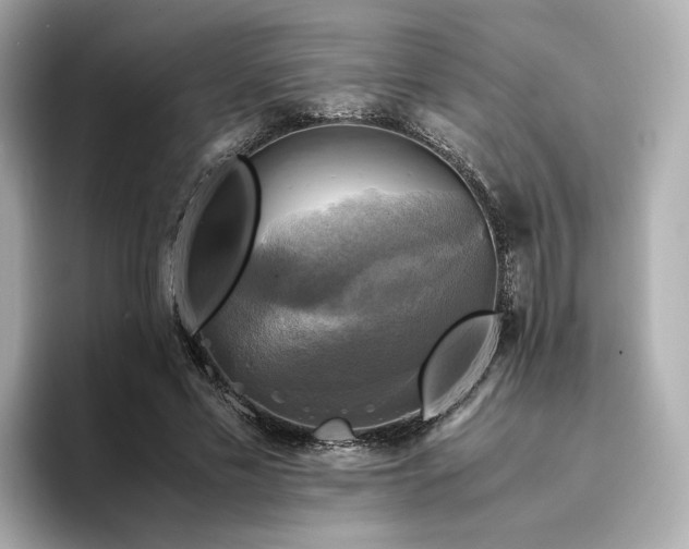 X0000095120589200712211311