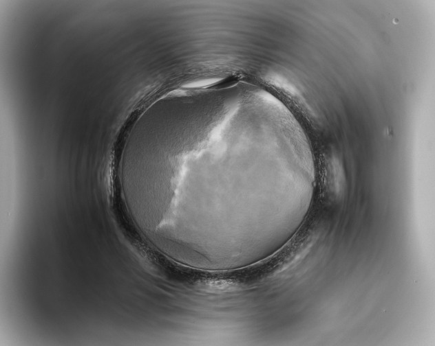 X0000095120590200712211311