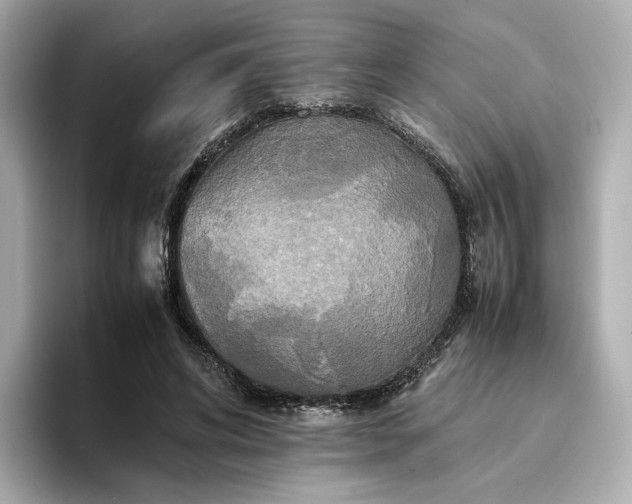 X0000095120592200712211311