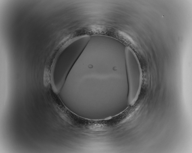 X0000095120593200712211311