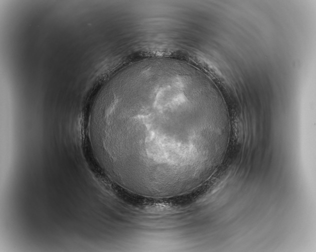 X0000095120594200712211311