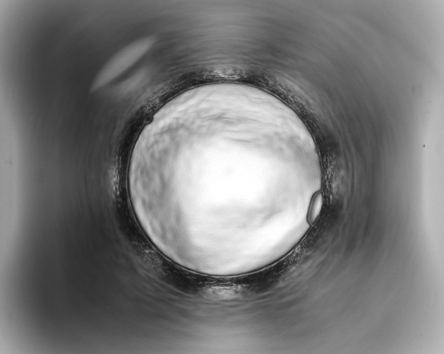 X0000095120595200712211311