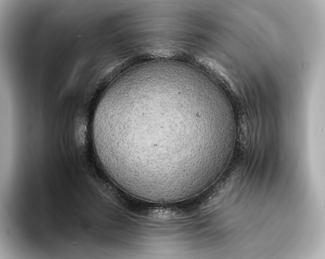 X0000095120596200712211311