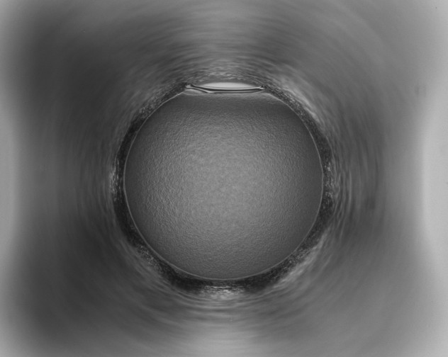 X0000095120597200712211311