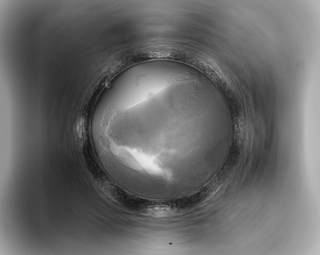 X0000095120598200712211311