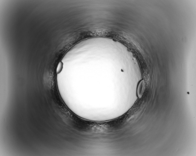 X0000095120599200712211311