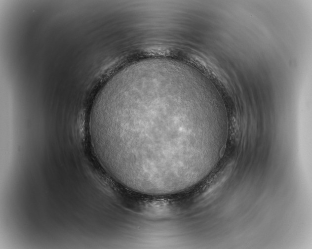 X0000095120600200712211311