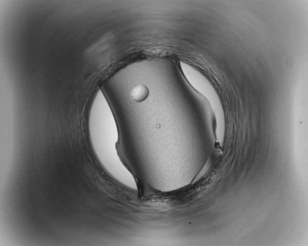 X0000095120601200712211311