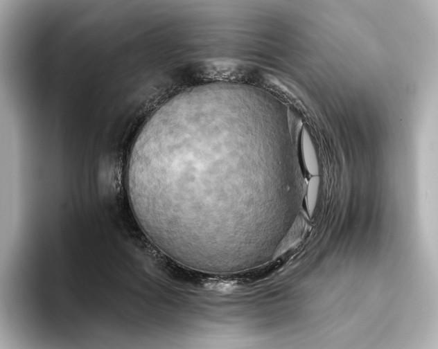 X0000095120602200712211311