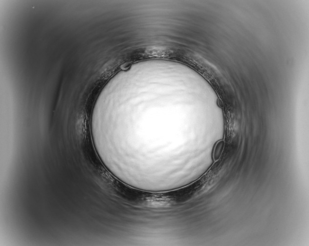 X0000095120603200712211311