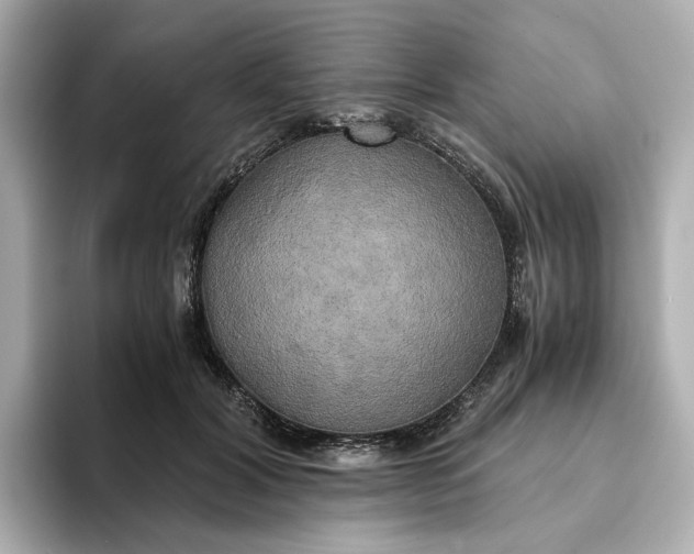 X0000095120604200712211311