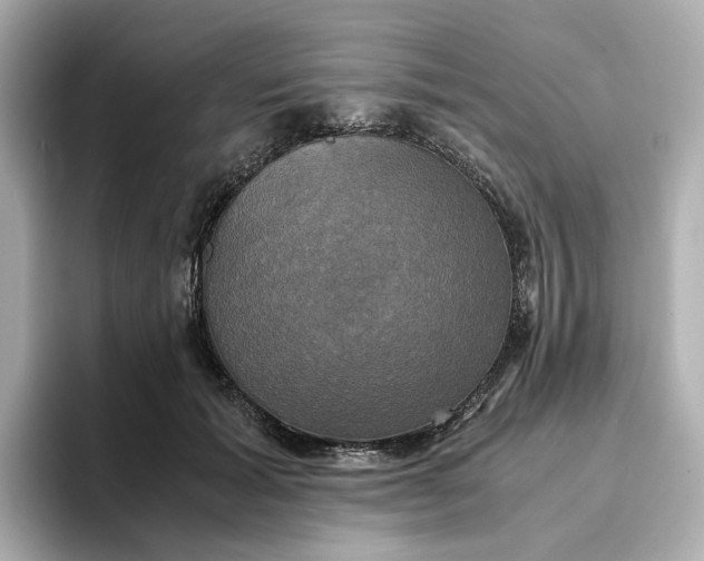 X0000095120605200712211311