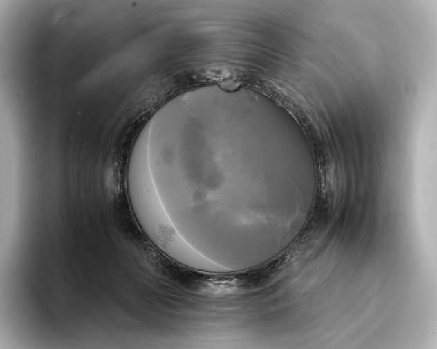 X0000095120606200712211311