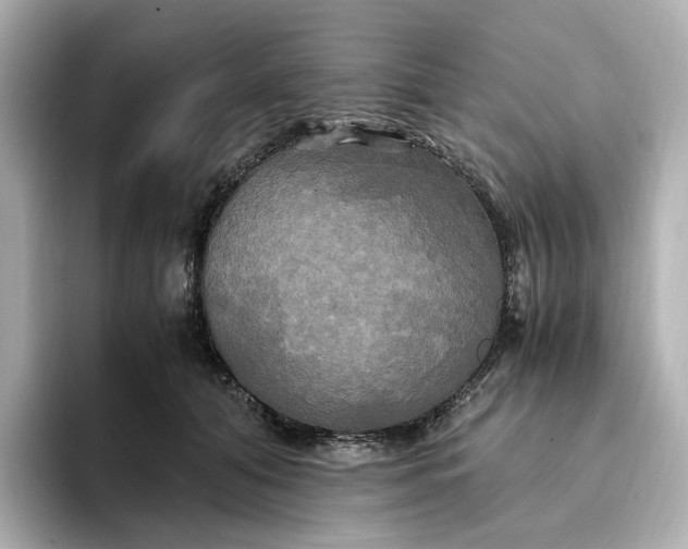 X0000095120608200712211311