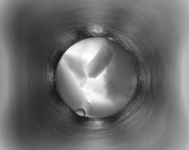 X0000095120610200712211311