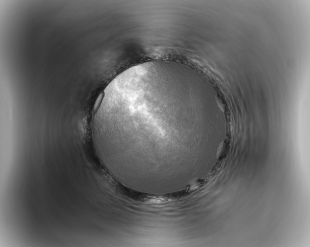 X0000095120611200712211311