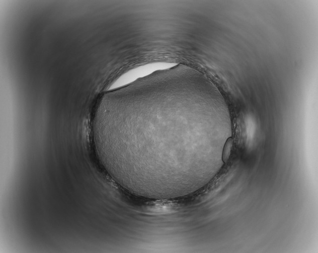 X0000095120612200712211311