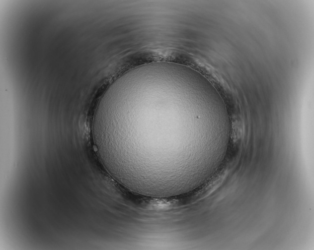 X0000095120613200712211311