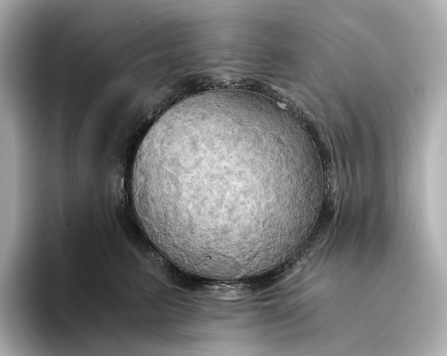 X0000095120615200712211311