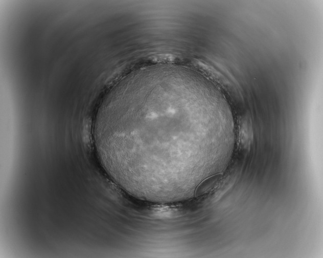 X0000095120616200712211311