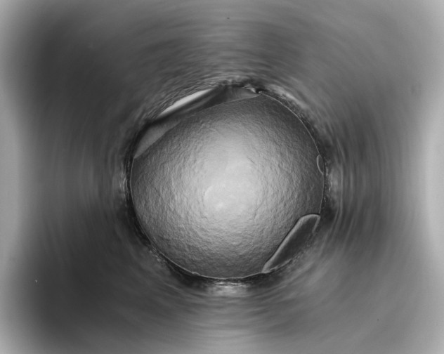 X0000095120617200712211311