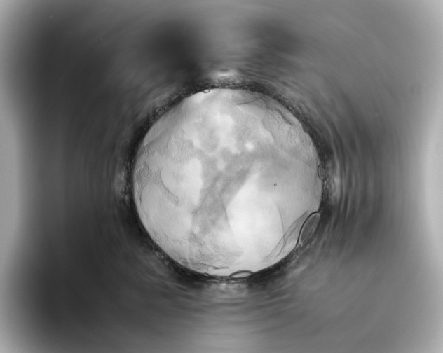 X0000095120619200712211311