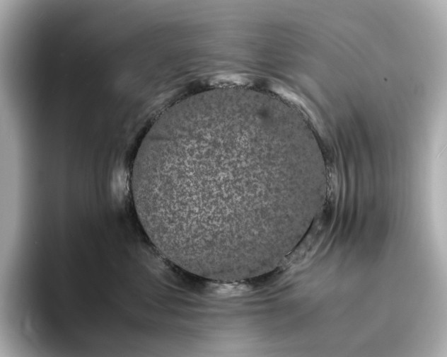 X0000095120621200712211311