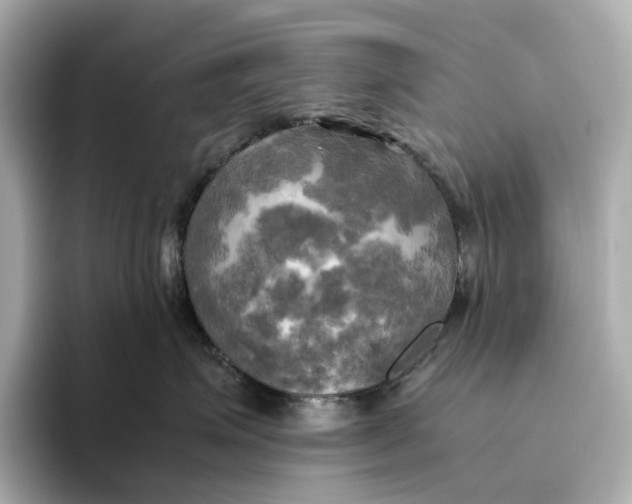 X0000095120623200712211311