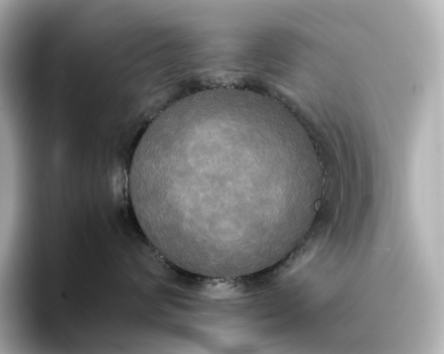 X0000095120624200712211311