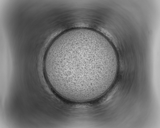 X0000095120625200712211310