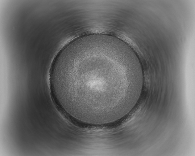 X0000095120626200712211310