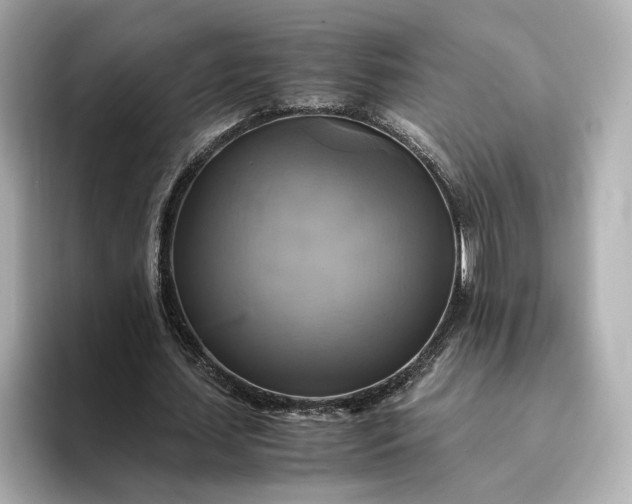 X0000095120627200712211310