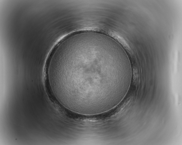 X0000095120628200712211310