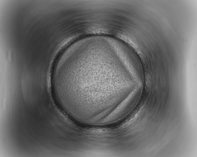 X0000095120629200712211310