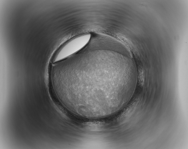 X0000095120630200712211310