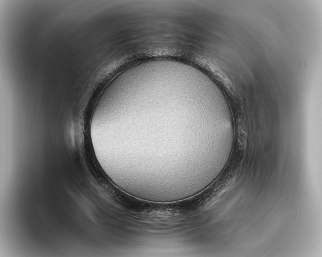 X0000095120631200712211310