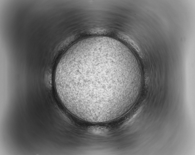 X0000095120633200712211310