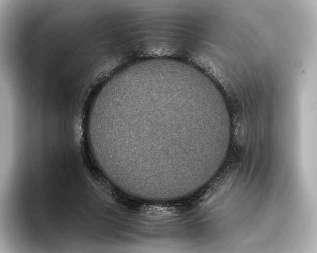 X0000095120635200712211310