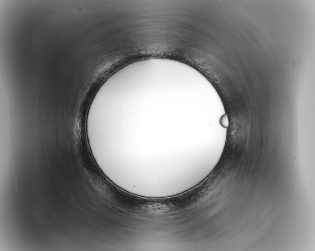 X0000095120636200712211310