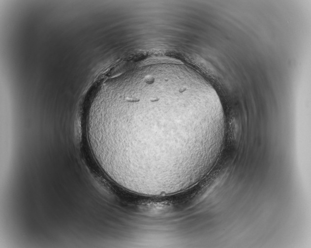 X0000095120638200712211310