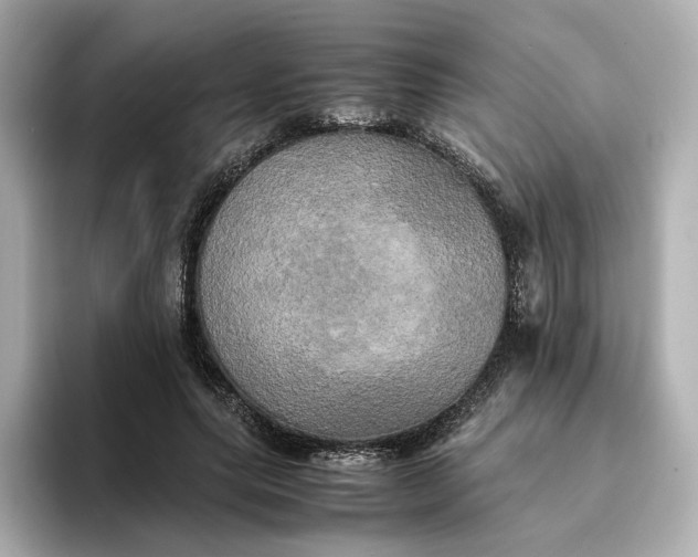 X0000095120639200712211310