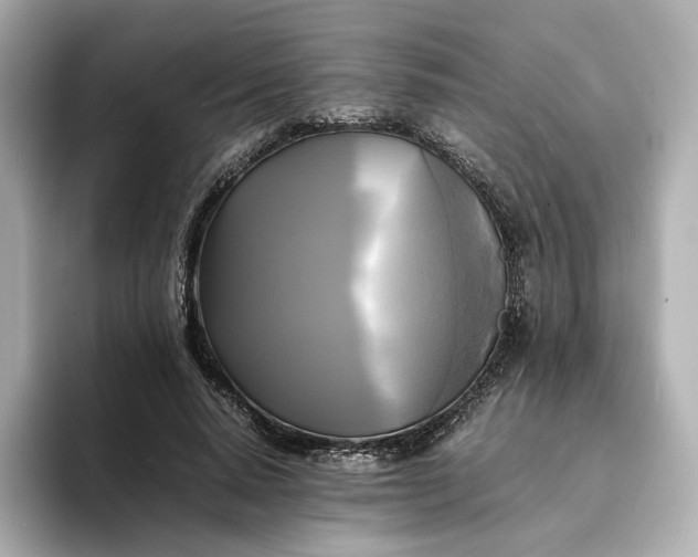 X0000095120640200712211310