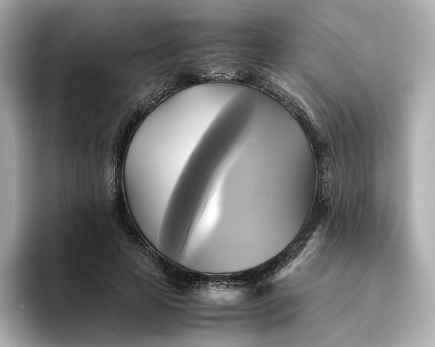 X0000095120641200712211310