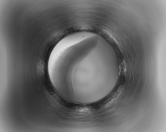 X0000095120643200712211310