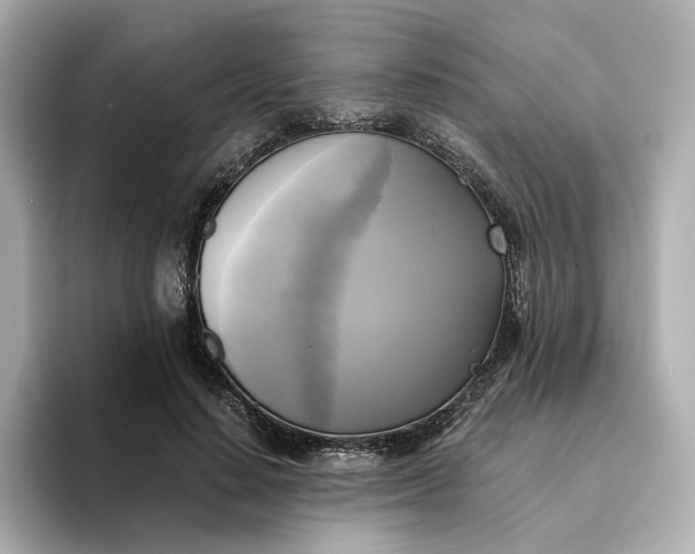 X0000095120644200712211310