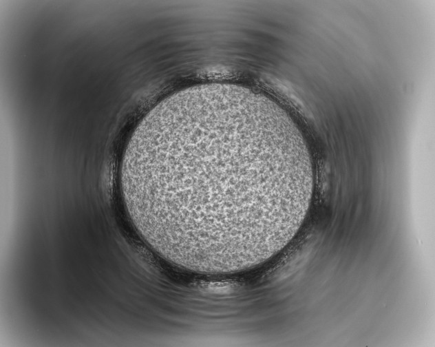 X0000095120645200712211310