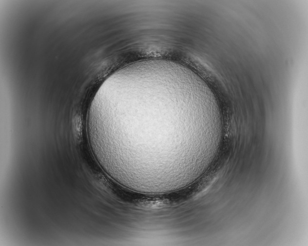 X0000095120646200712211310